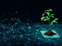 Farming the Future: Strengthening Rural Climate Resilience through PACS