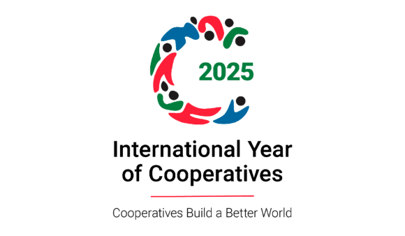 Ministry of Cooperation charts grand strategy for IYC 2025