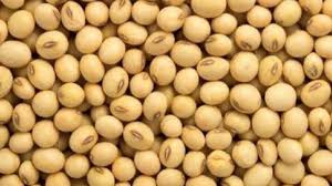 Governments buys record volume of soyabean at MSP through Cooperatives