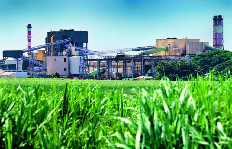 भारत में गन्ना पेराई और चीनी उत्पादन 2025, NCSF द्वारा अतिरिक्त निर्यात अनुमति की मांग