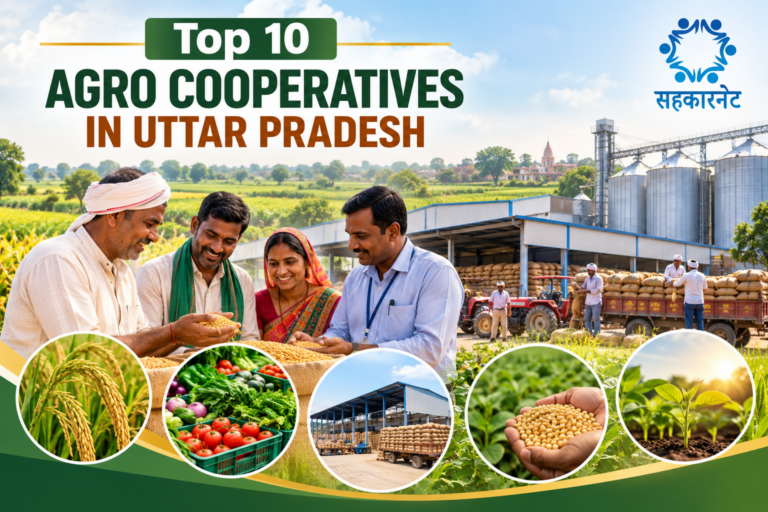 Top 10 Agro Cooperatives in Uttar Pradesh – SahkarNet